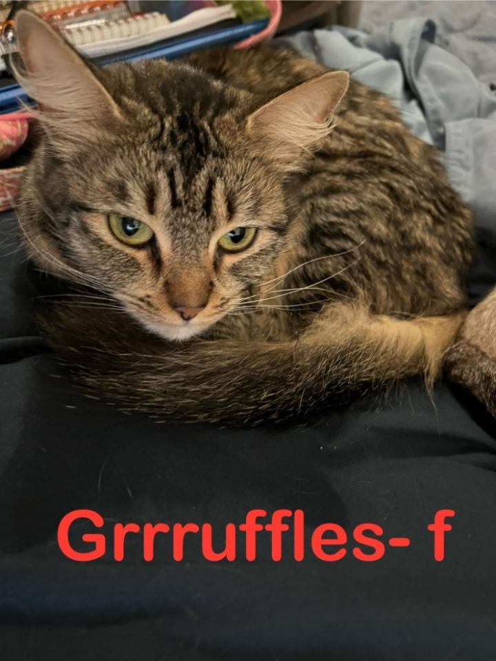 Grrruffles 24 2
