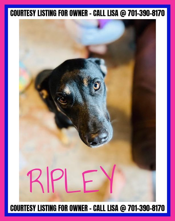 Ripley - COURTESY LISTING FOR OWNER
