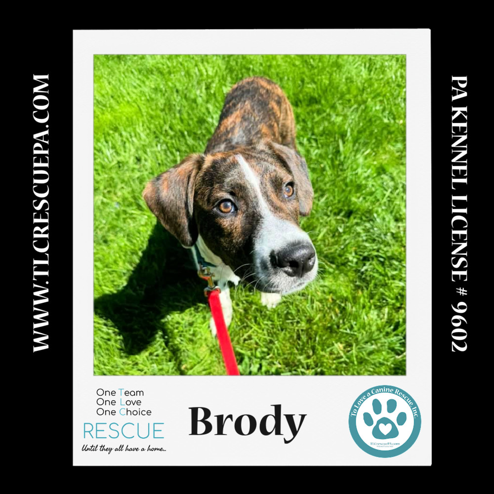 Brody New Years Dears 010624 detail page