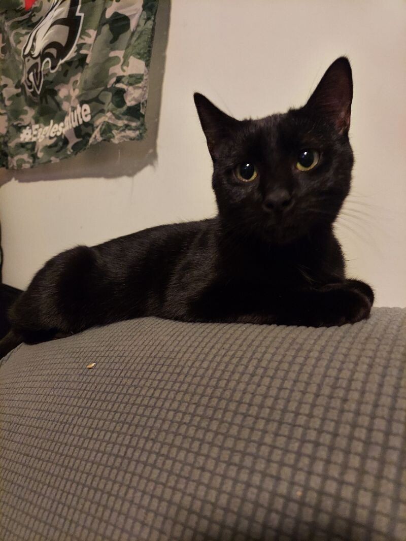 Lily
