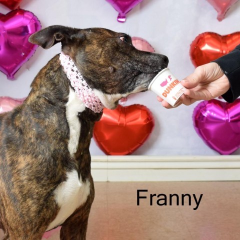 Franny