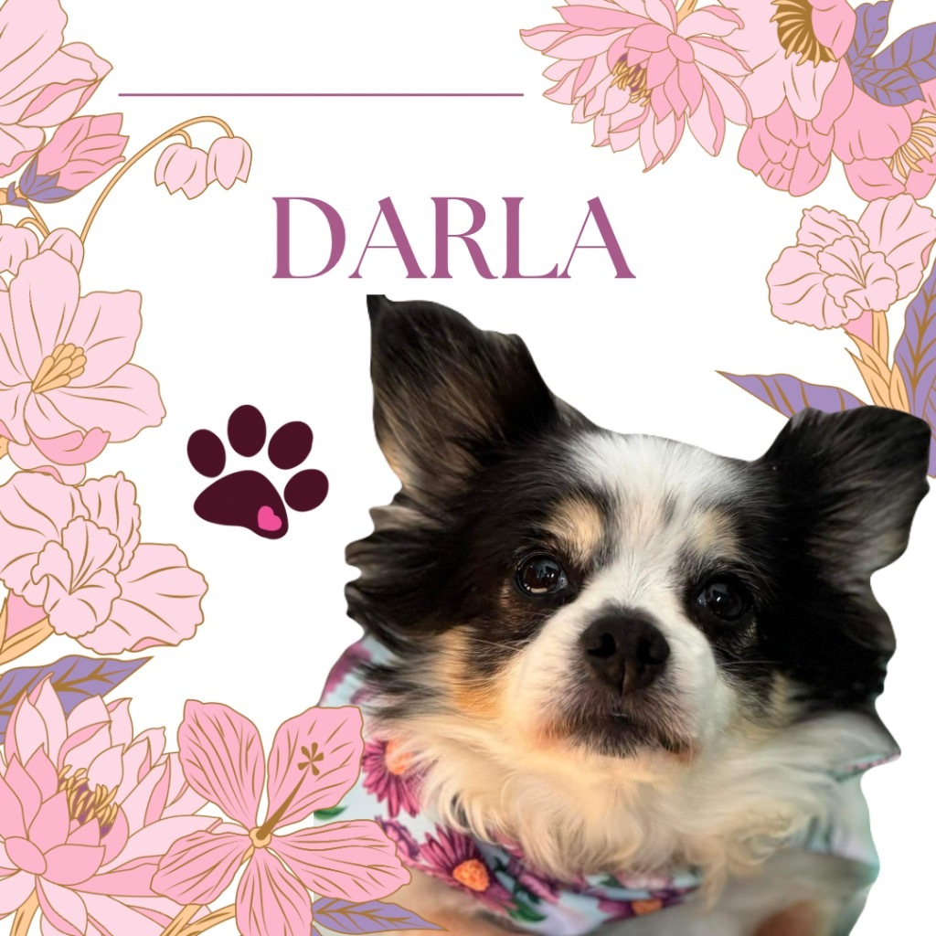 Darla