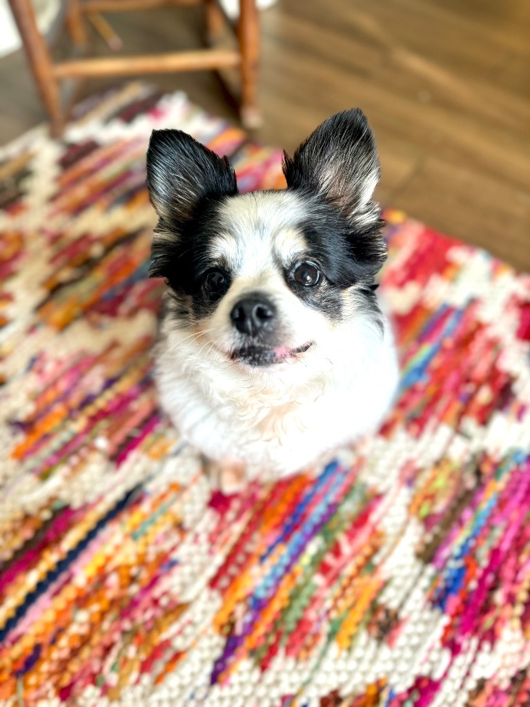 Darla