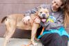Nyzilly - IN FOSTER photo 3