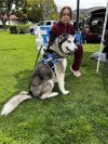 Sadie photo 3
