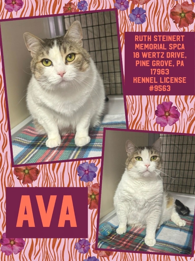 Ava