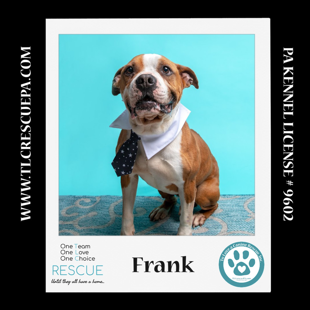 Frank 021724