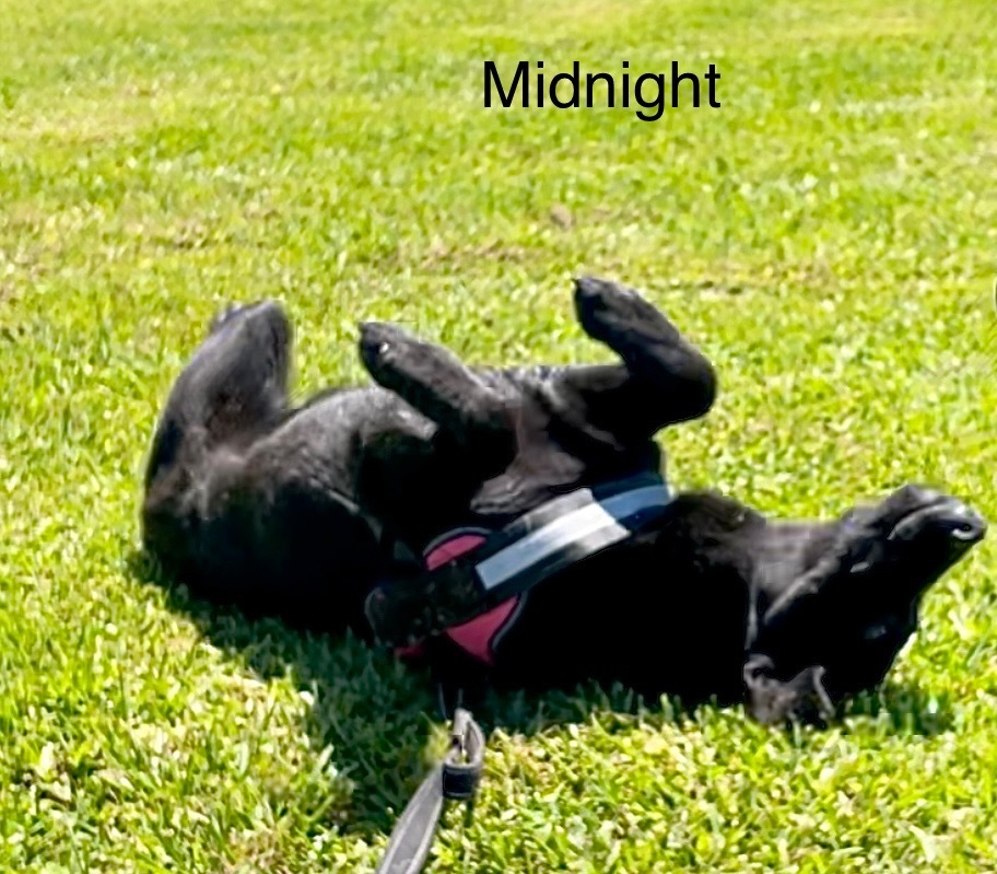 Midnight