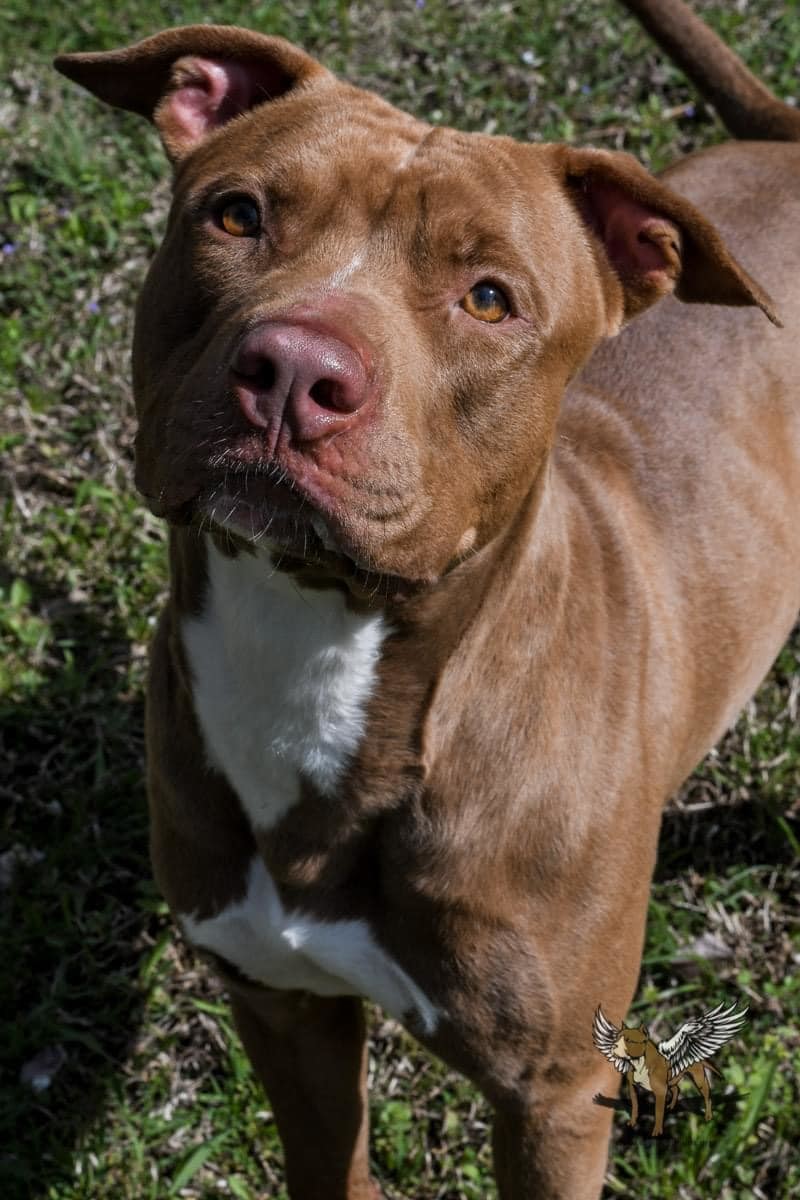 Frankie (fka River)