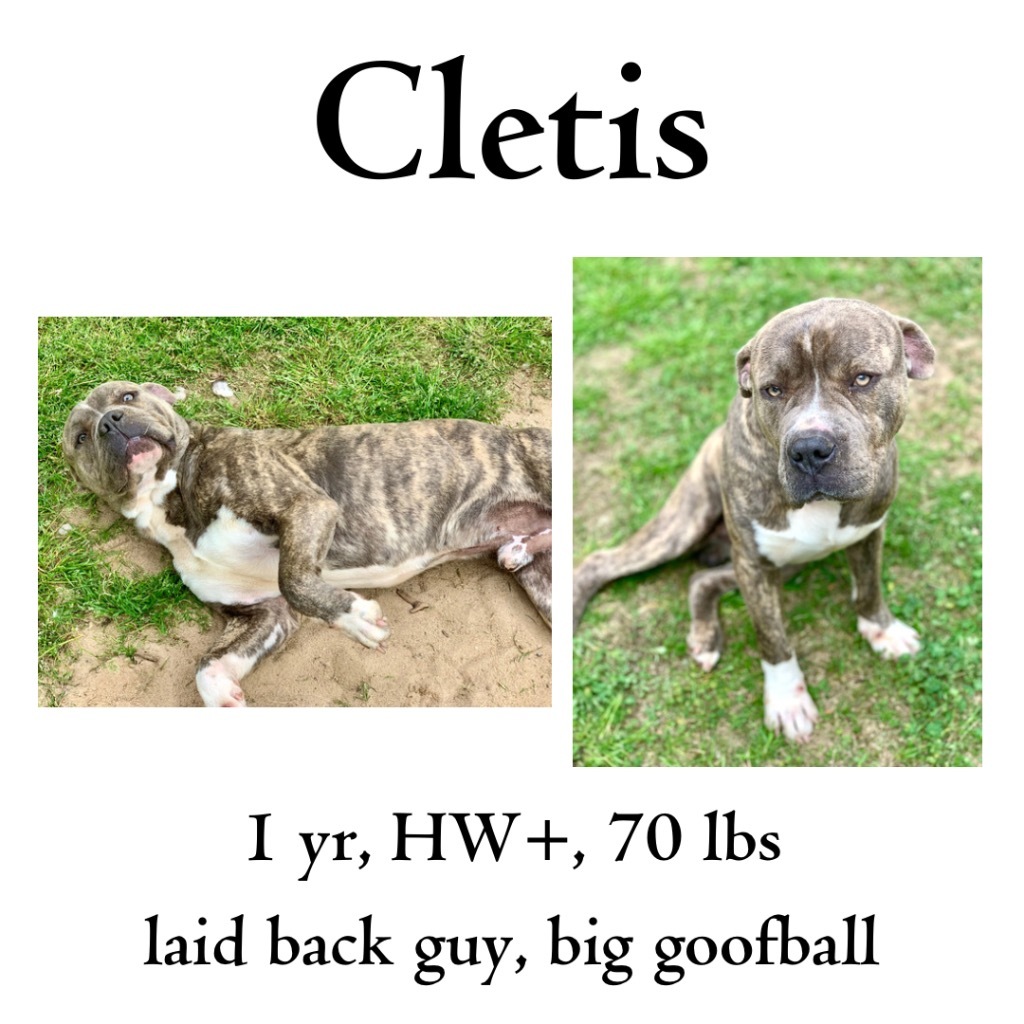 Cletis detail page
