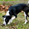 Xena photo 1