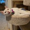 Jeffrey photo 3