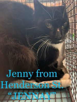 Jenny From Henderson Street