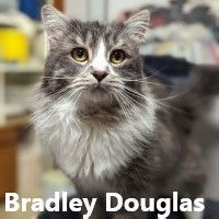 Bradley Douglas