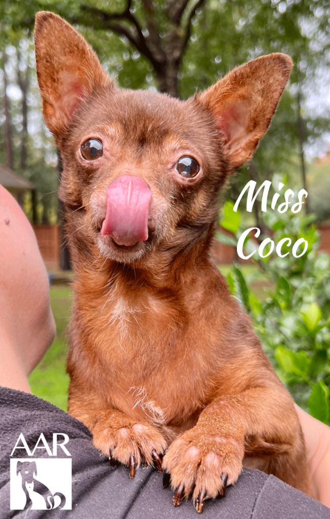 Miss Coco