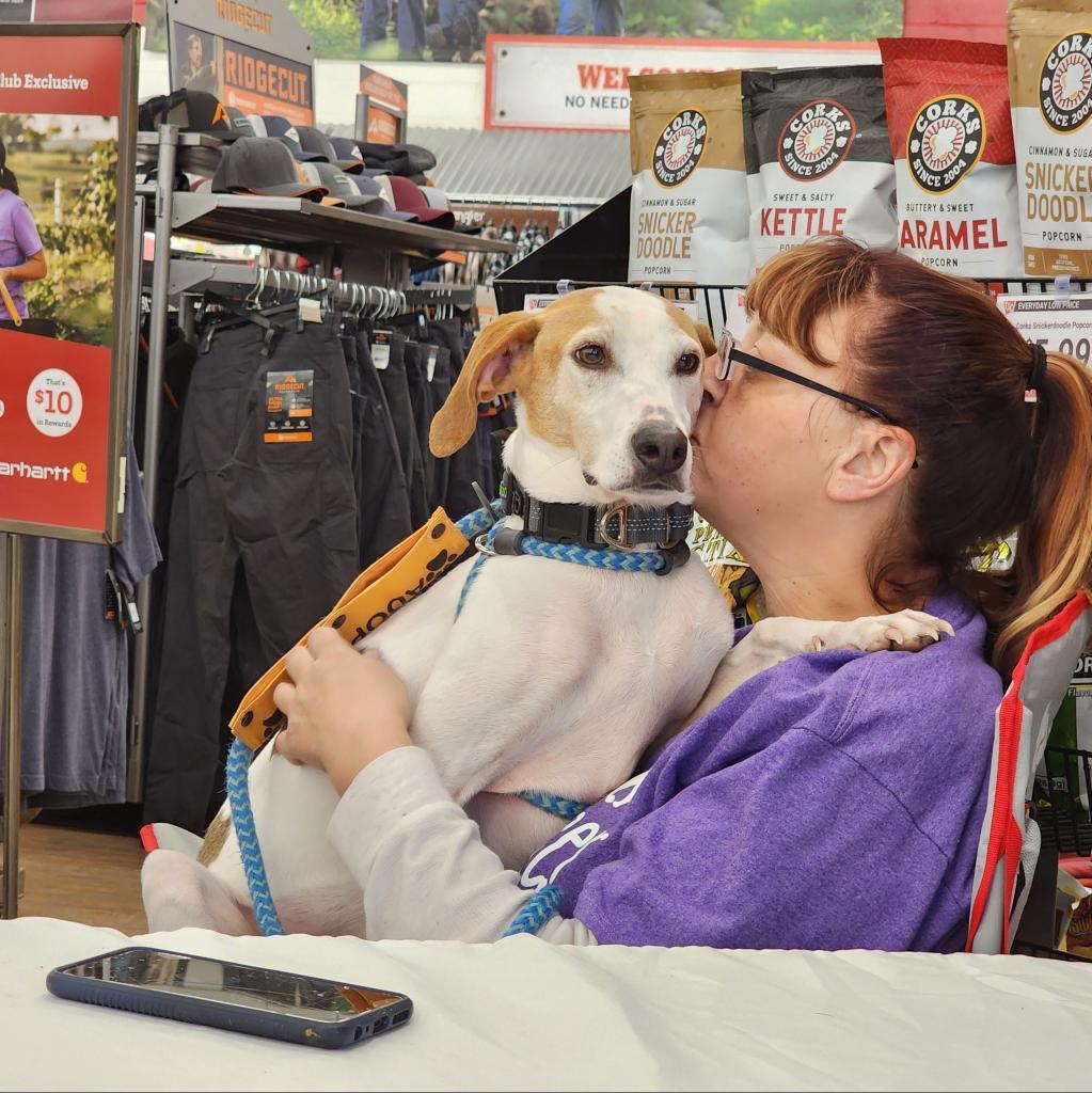 Danny, an adoptable Mixed Breed in Glenfield, NY, 13343 | Photo Image 2