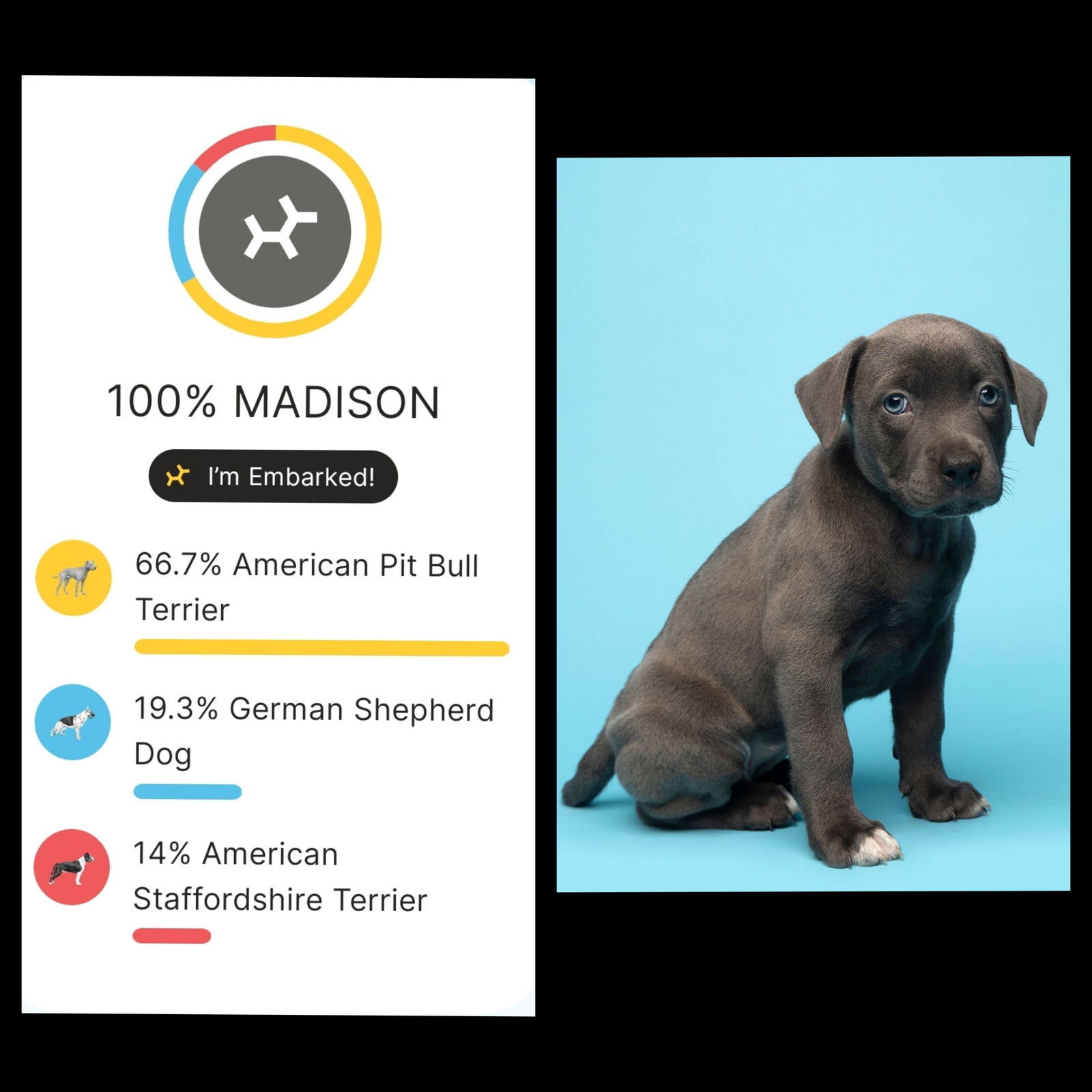 Madison - F