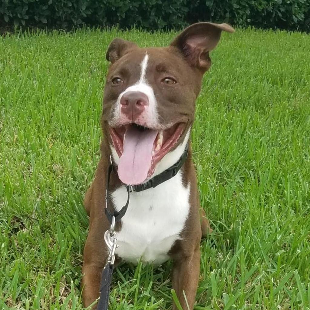 Tucker 2