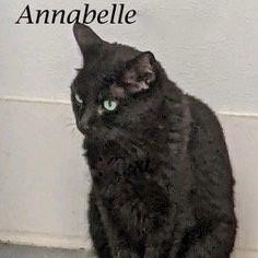 Annabelle 5