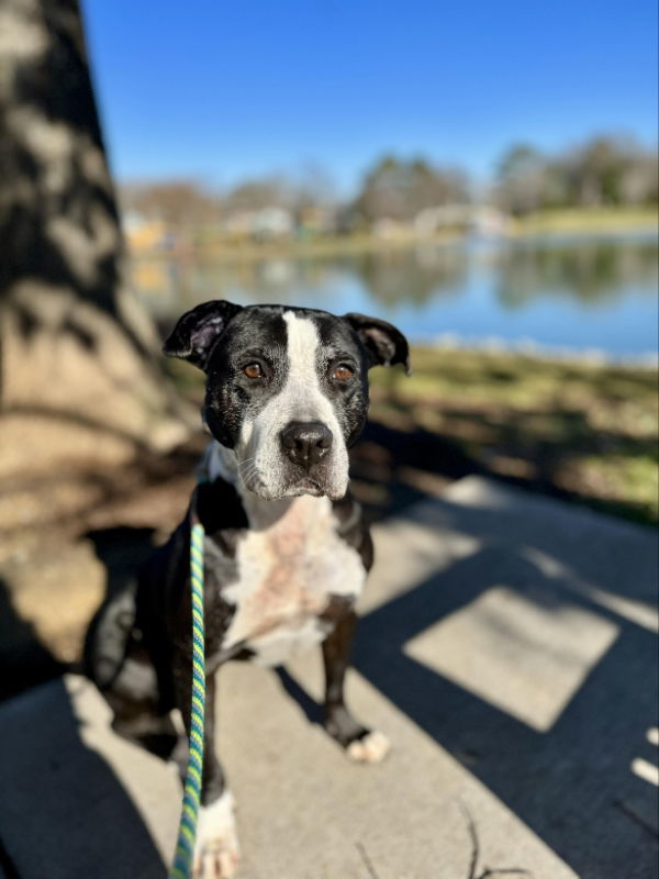 Suzie 1