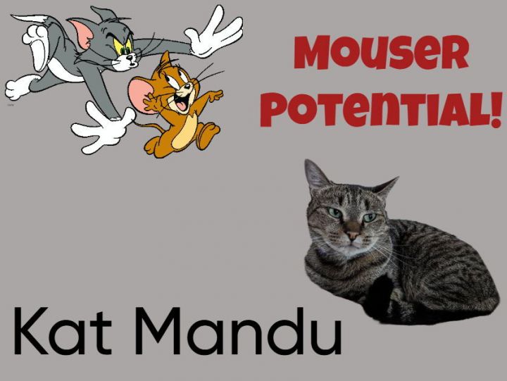 Kat Mandu 1