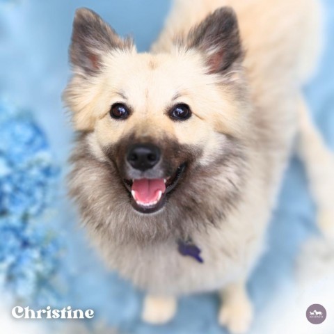 Christine 6