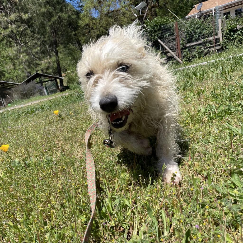 NALA 1