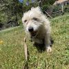 NALA 1 photo 1