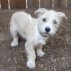 NALA 1 photo 3