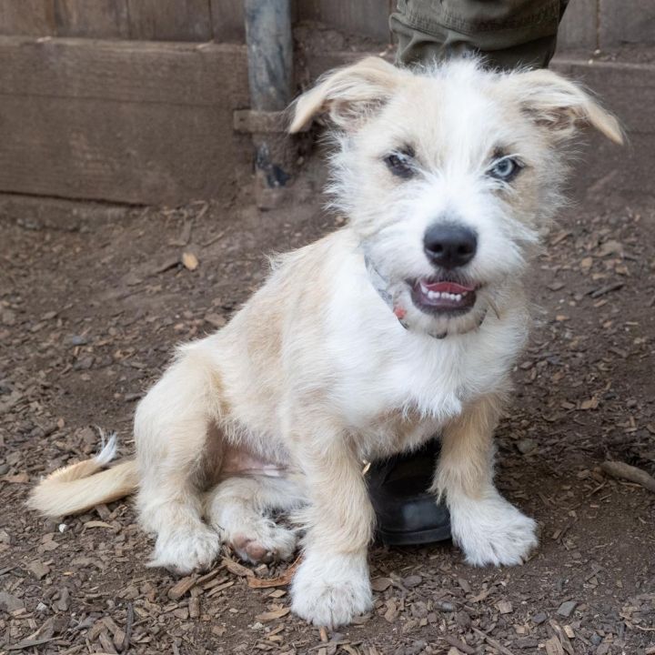 NALA 1 4