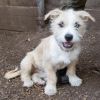 NALA 1 photo 4