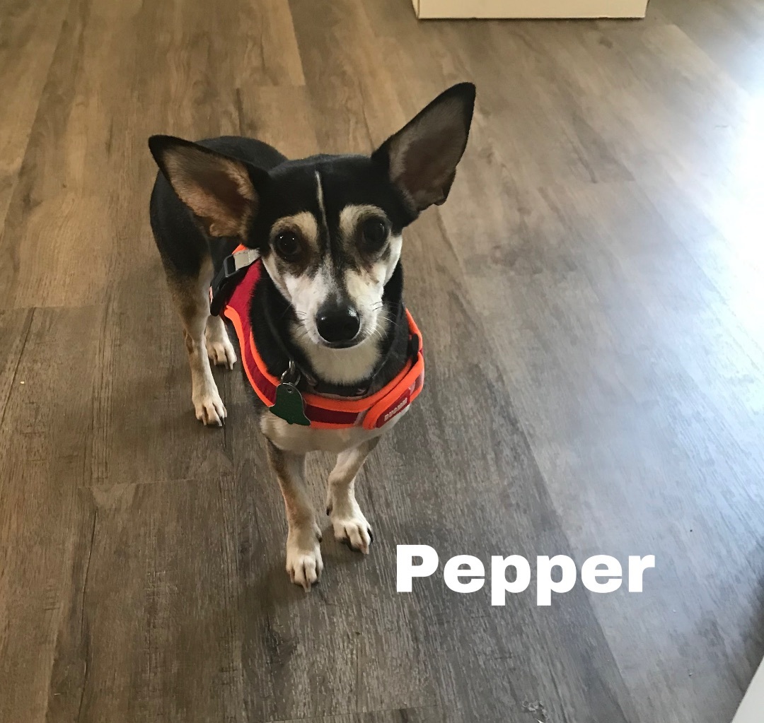 Pepper Chi