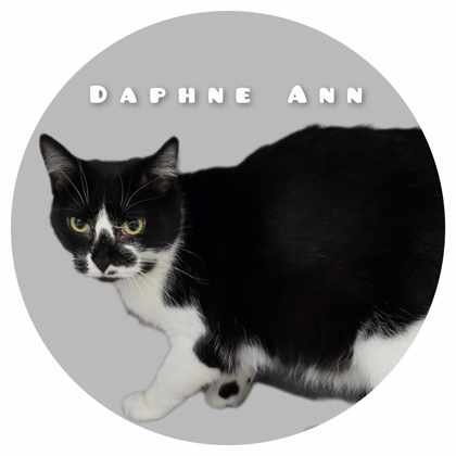 Daphne Ann 1