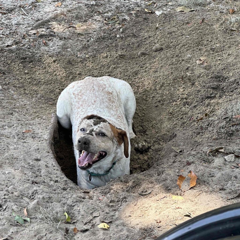 Monty
