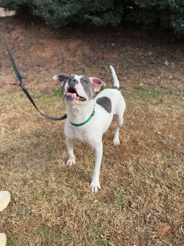 Lucille
