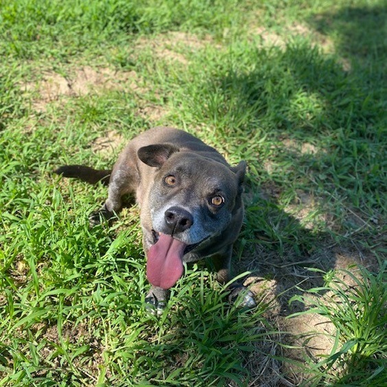 Charlie
