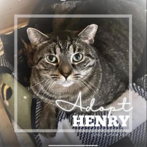 Henry