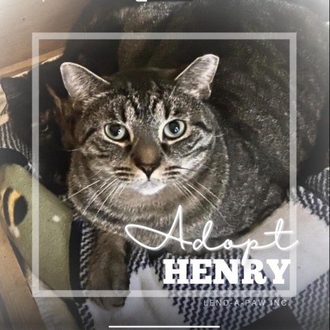 Henry 1