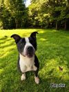 Bruce photo 2