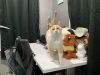 Zoe photo 2