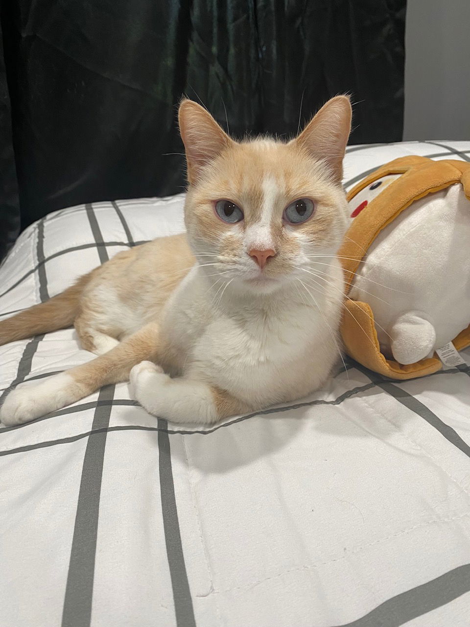Zoe