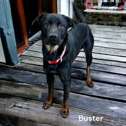 Buster detail page