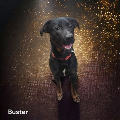 Buster 2