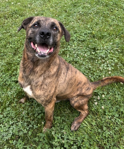 Axel