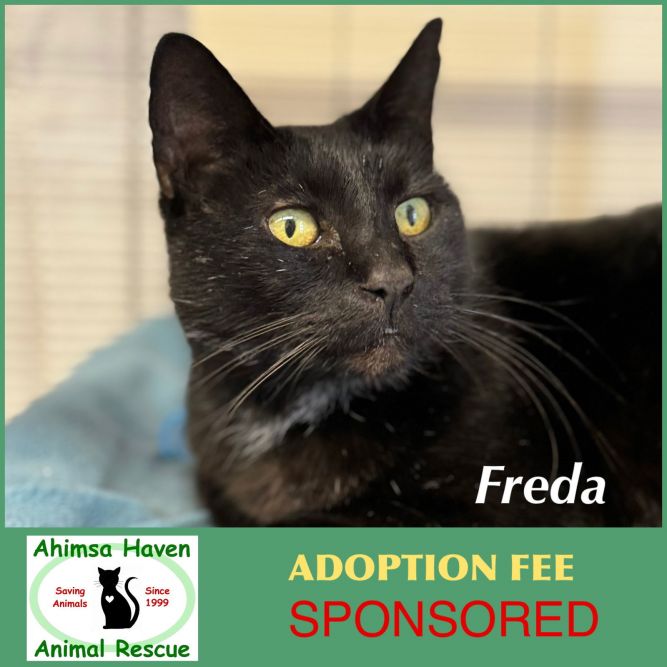 Freda