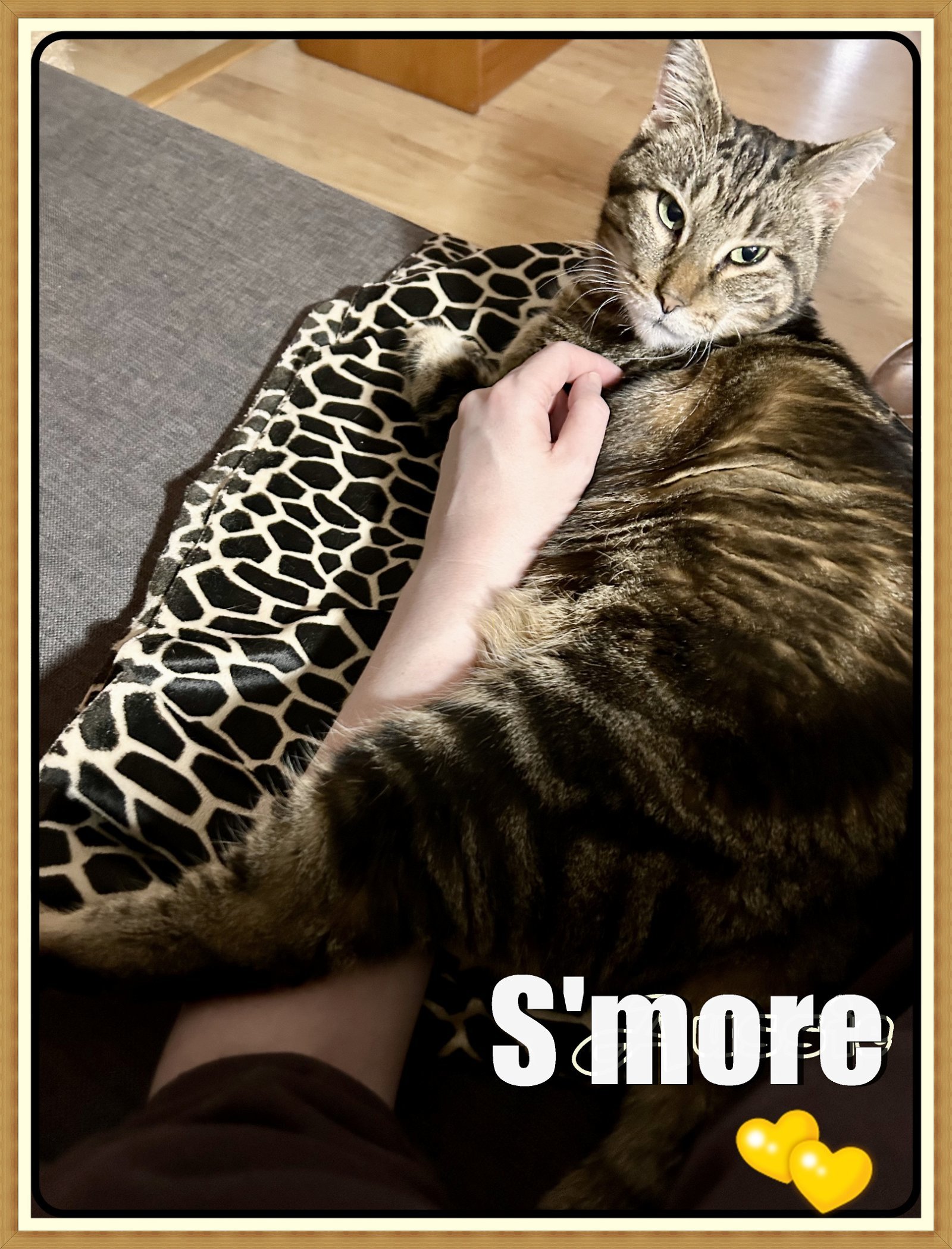 S'MORE