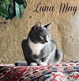 Luna May