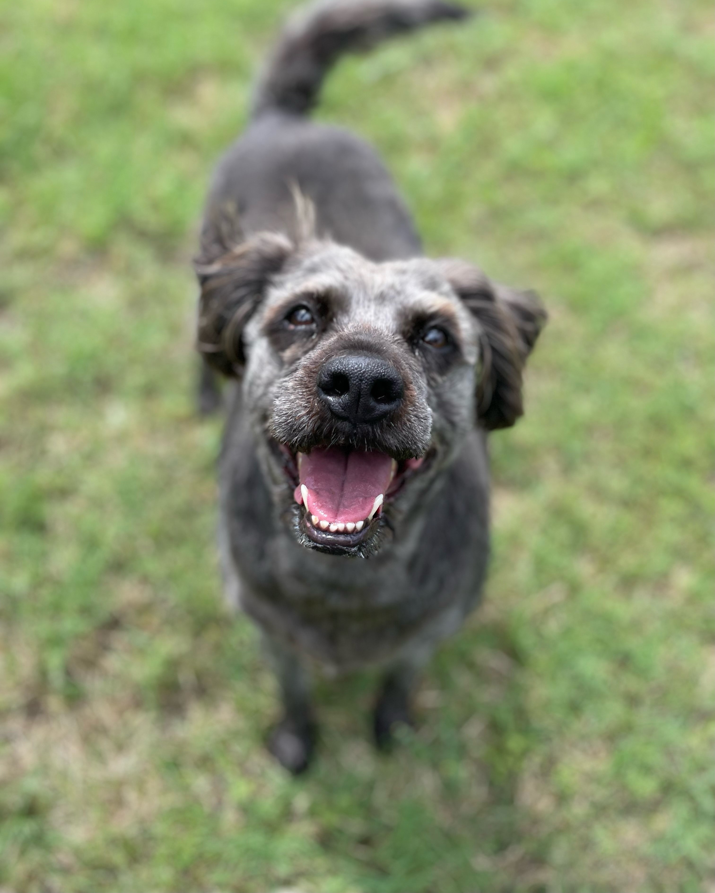 Maggie