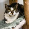 Monty photo 1