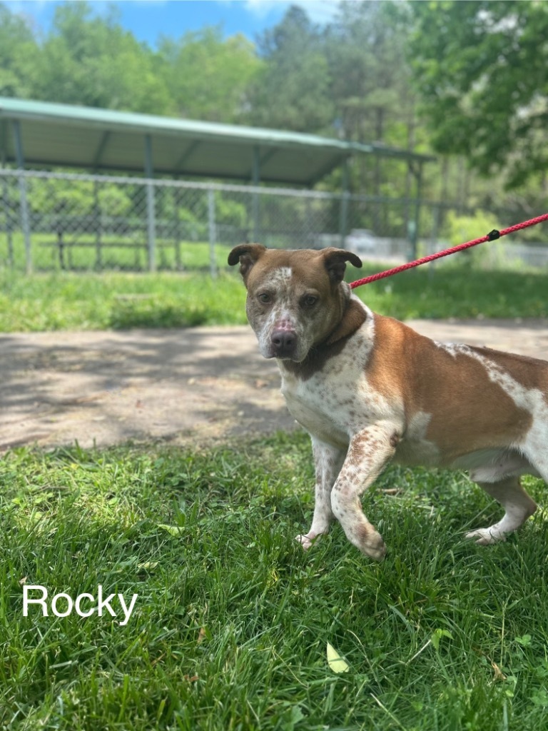 Rocky